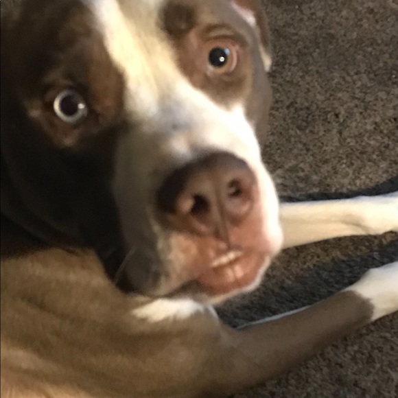 Meet your Posher, Nancy - Picture 7 of 8